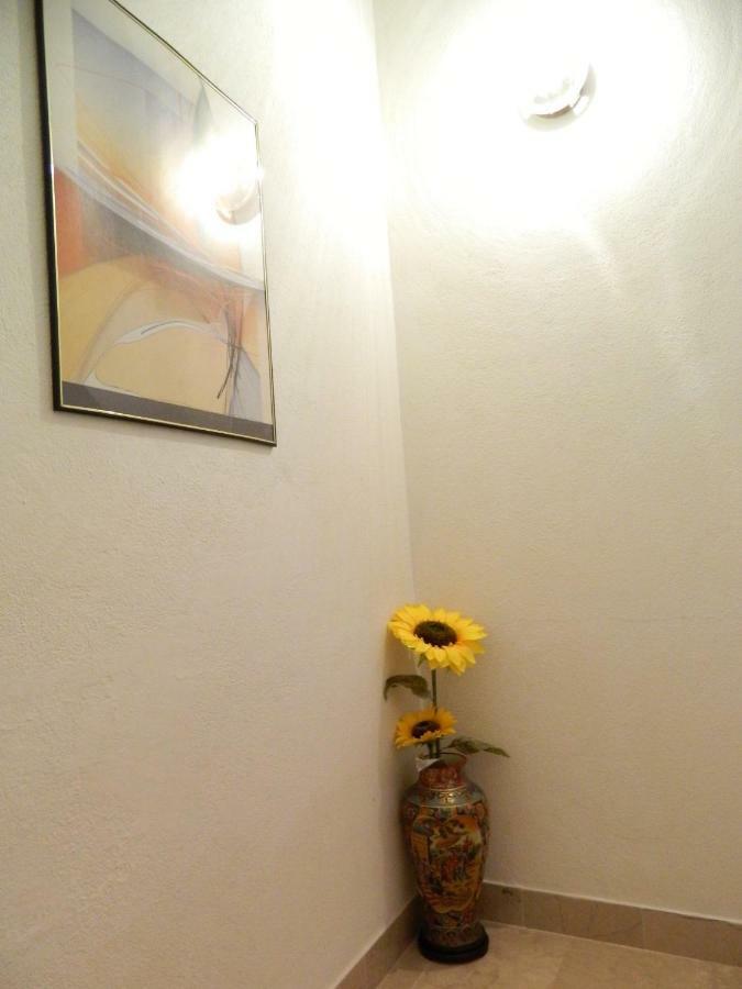 Ema Apartman Brela Kültér fotó